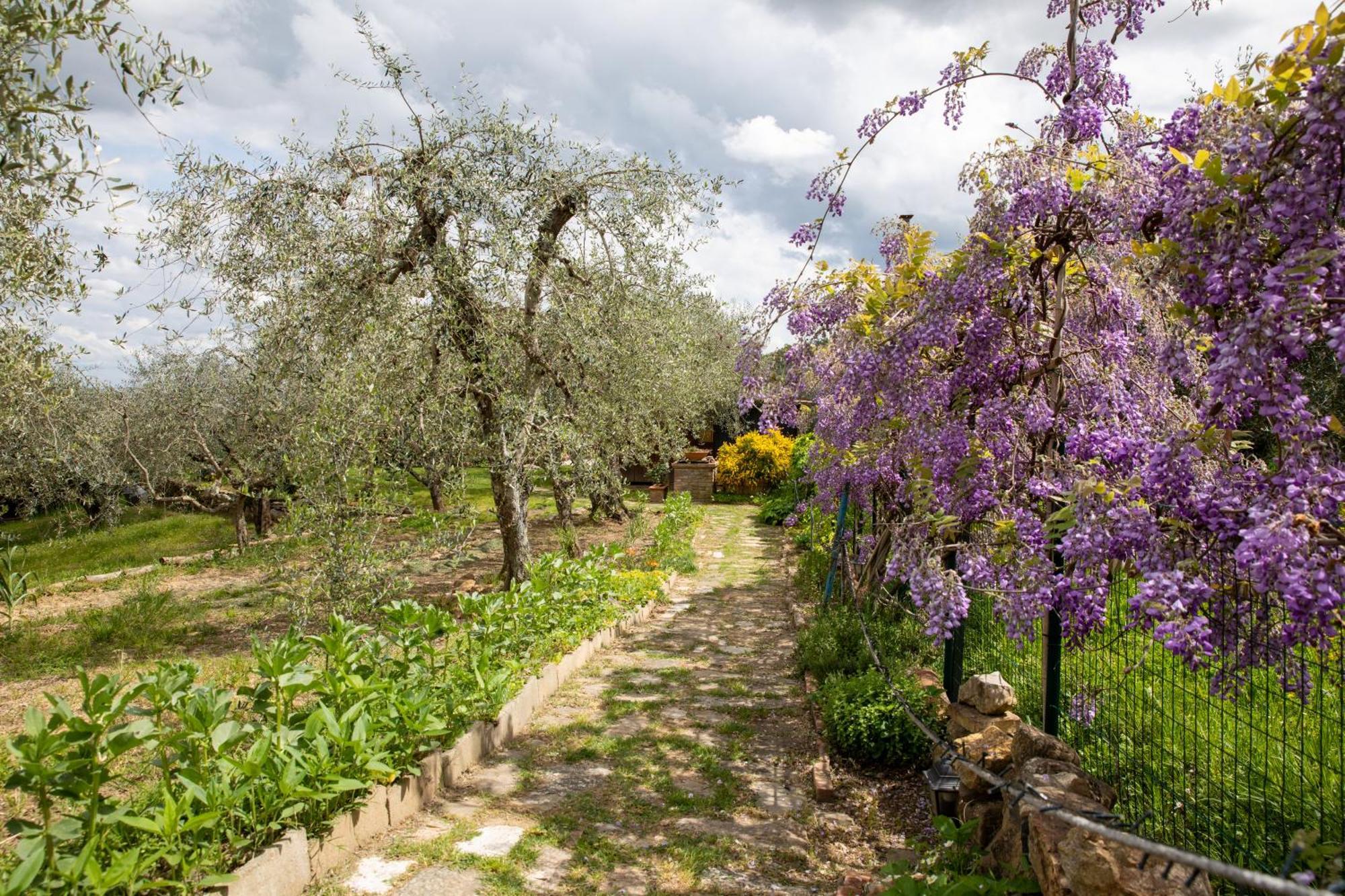Appartement Il Poggio Dell'Eremita à Rigomagno Extérieur photo